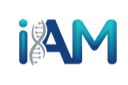iAM360